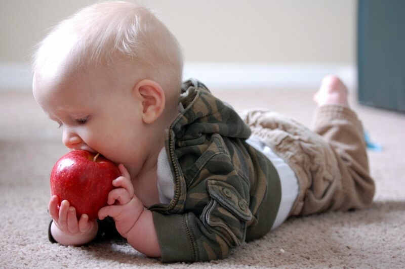 Elma Kullanarak Yapabileceğiniz Bebek Mamaları ve Püreleri