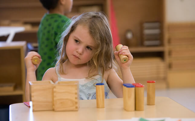 Montessori Yönteminde Duyuların Eğitimi