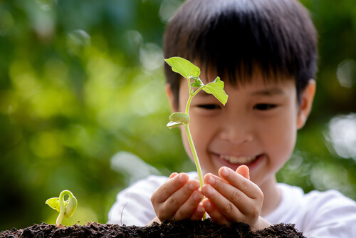 Çocuğunuzla bitki yetiştirmek