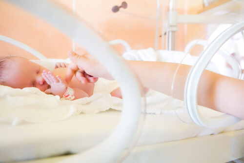 Premature Bebeklerde Gelişim