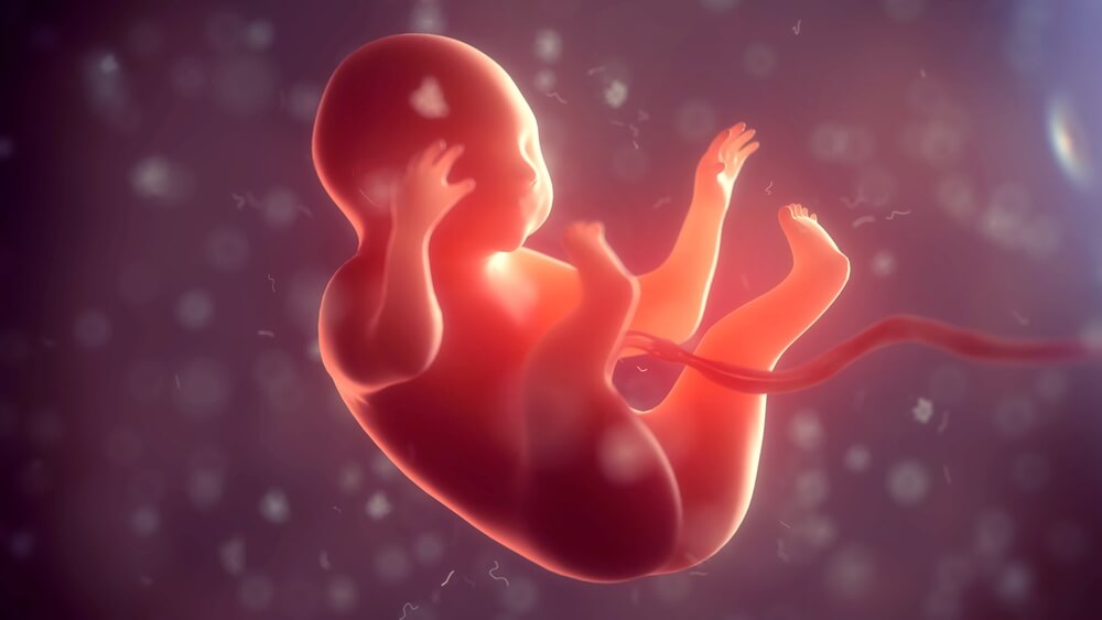 Geleceğe Hazır Olun: Genetiği Değiştirilmiş Bebekler